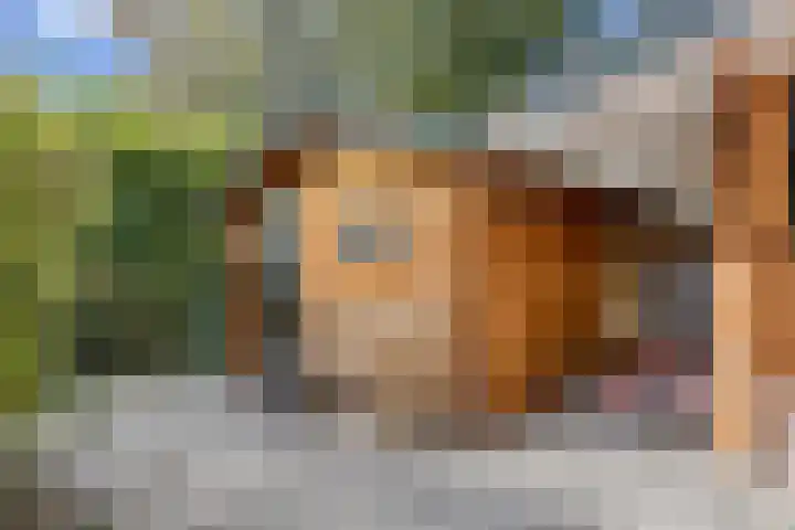 De Stille Wille 306 Oost West en Middelbeers thumbnail 32