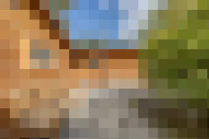 De Stille Wille 306 Oost West en Middelbeers thumbnail 33