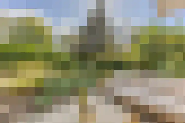 De Stille Wille 306 Oost West en Middelbeers thumbnail 37