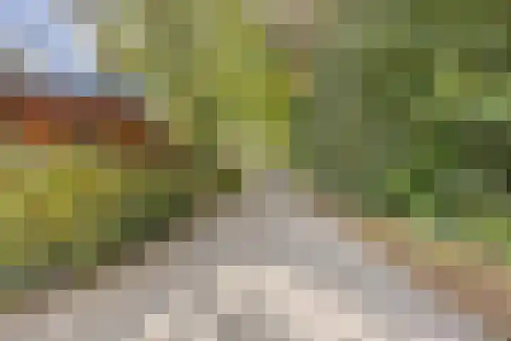 De Stille Wille 306 Oost West en Middelbeers thumbnail 38