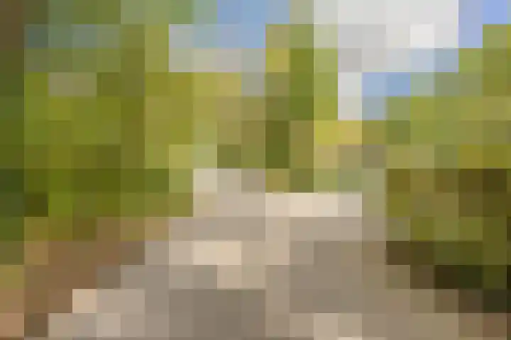 De Stille Wille 306 Oost West en Middelbeers thumbnail 39