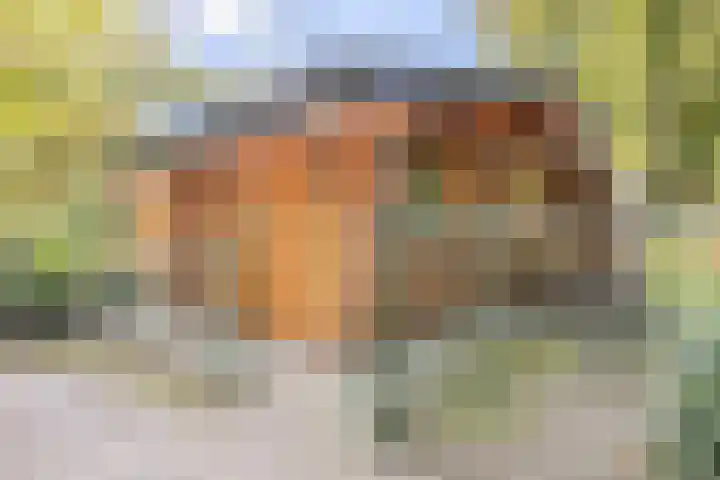 De Stille Wille 306 Oost West en Middelbeers thumbnail 4