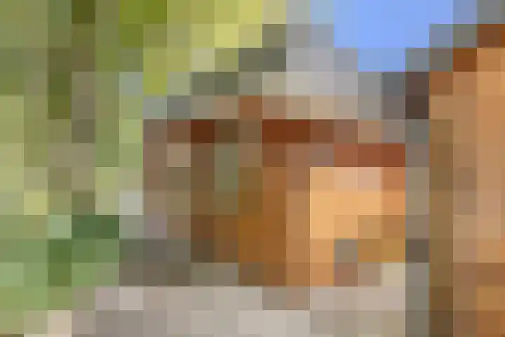De Stille Wille 306 Oost West en Middelbeers thumbnail 40
