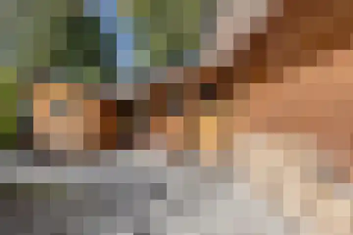 De Stille Wille 306 Oost West en Middelbeers thumbnail 7