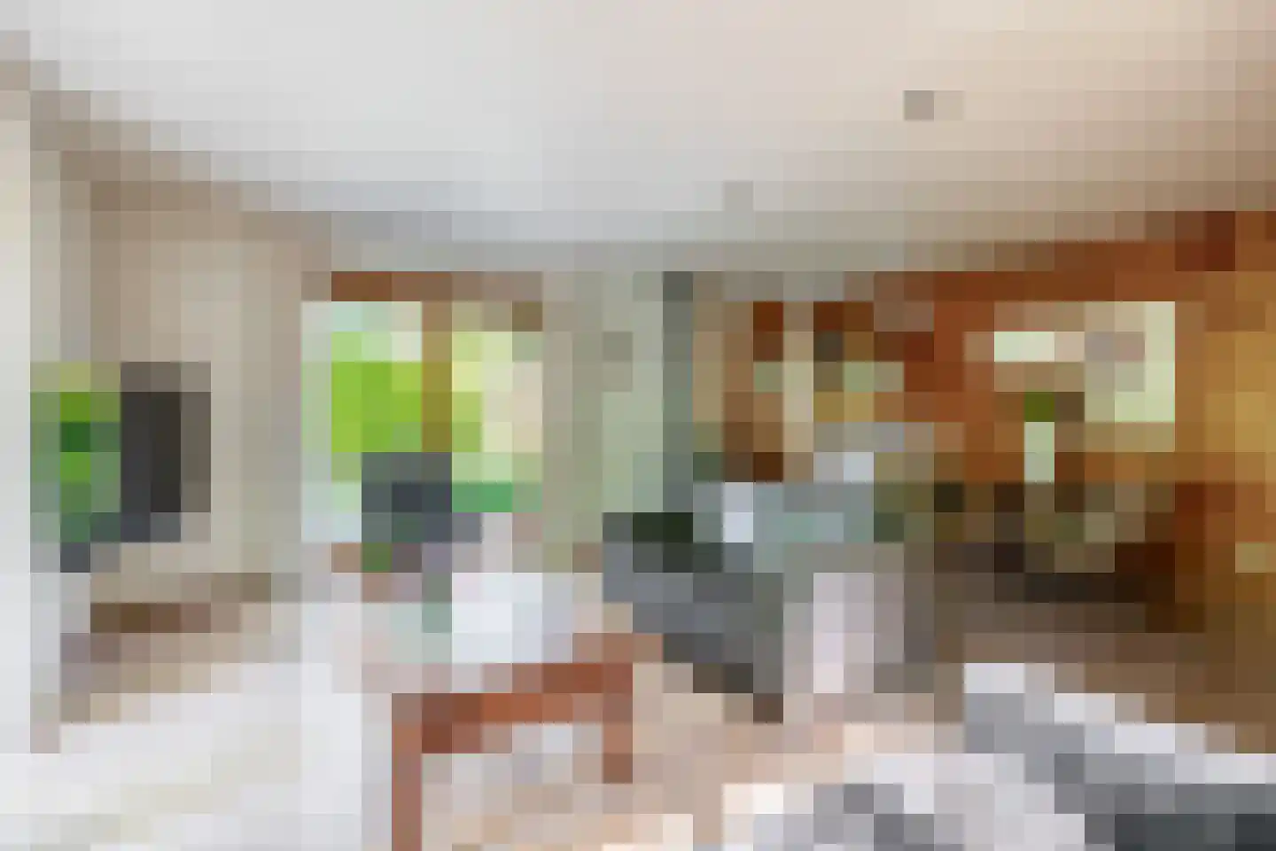 De Stille Wille 31 Oost West en Middelbeers thumbnail 13