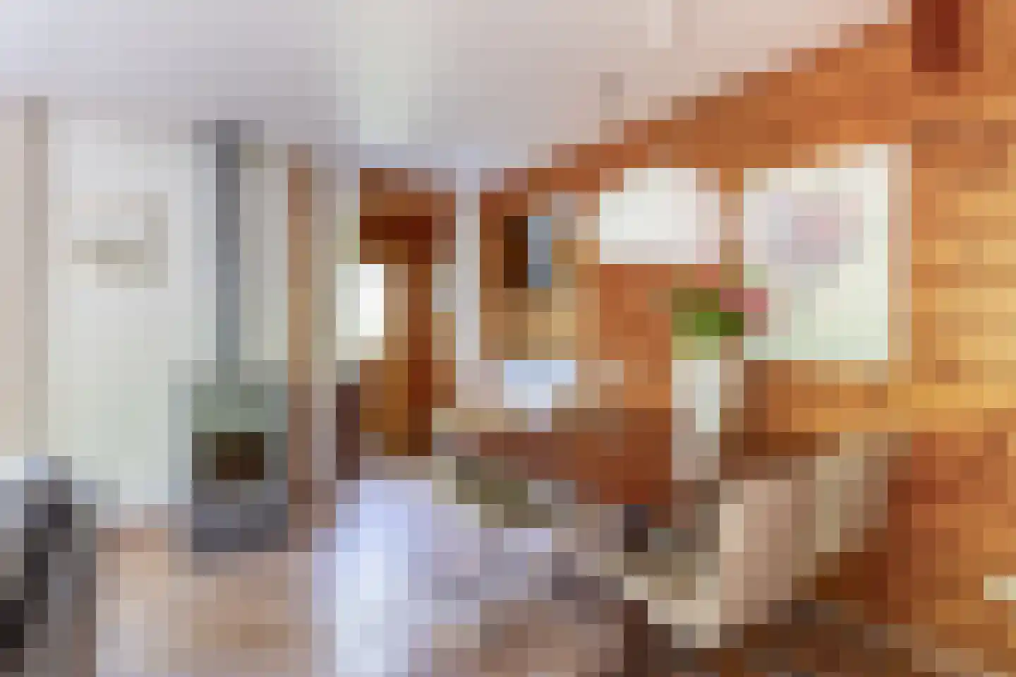 De Stille Wille 31 Oost West en Middelbeers thumbnail 14