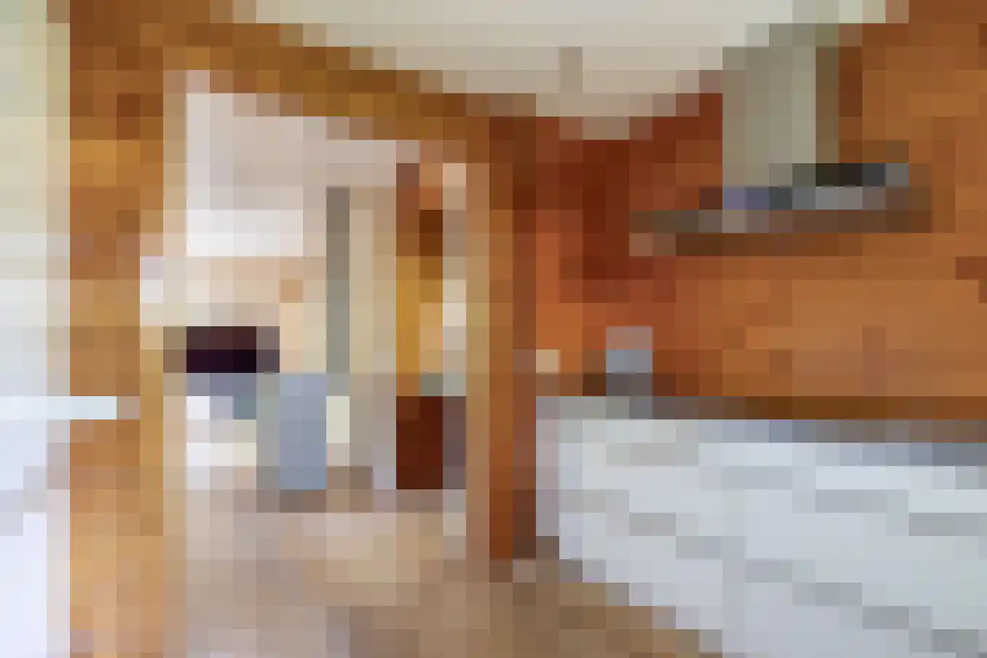 De Stille Wille 31 Oost West en Middelbeers thumbnail 17