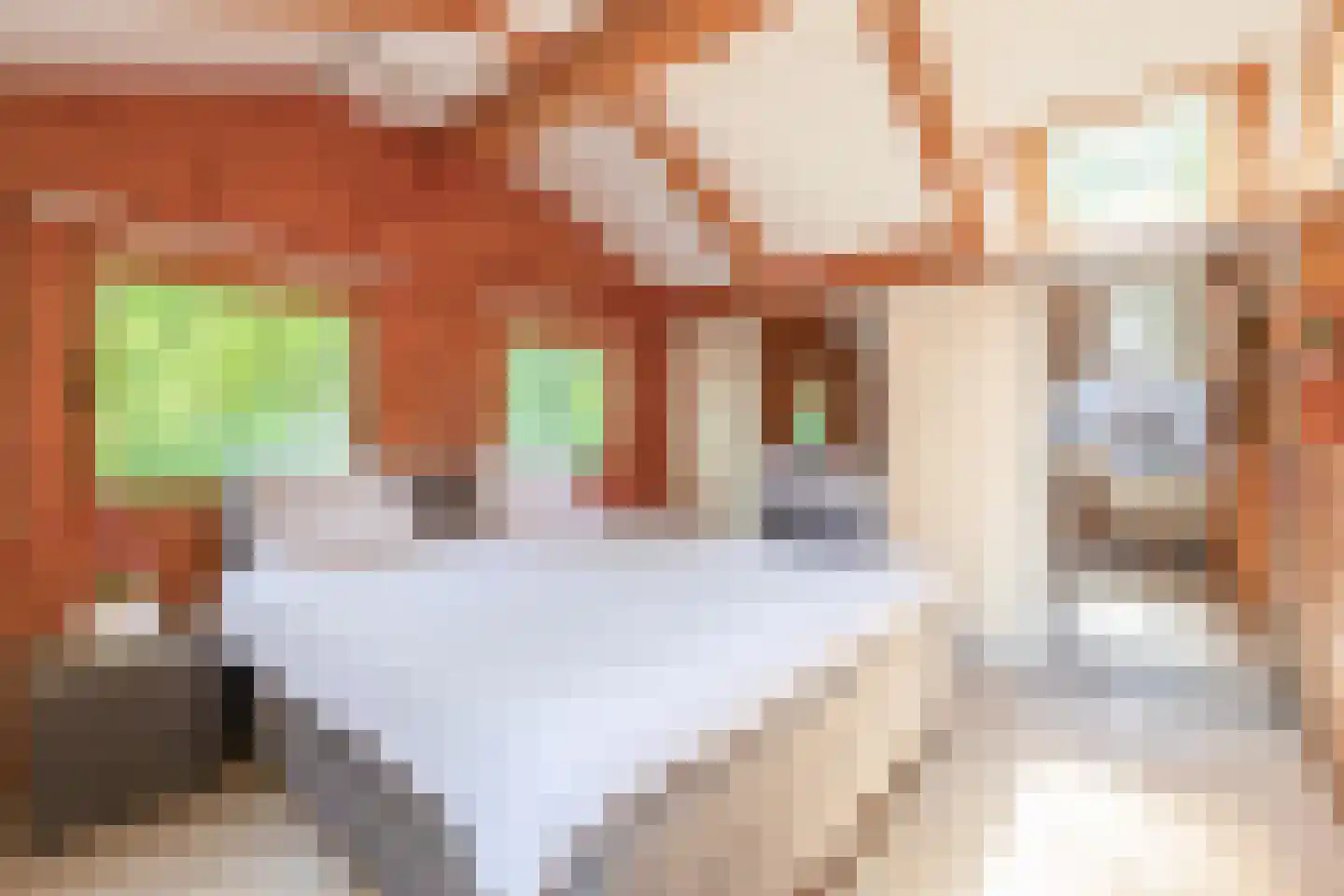 De Stille Wille 31 Oost West en Middelbeers thumbnail 22