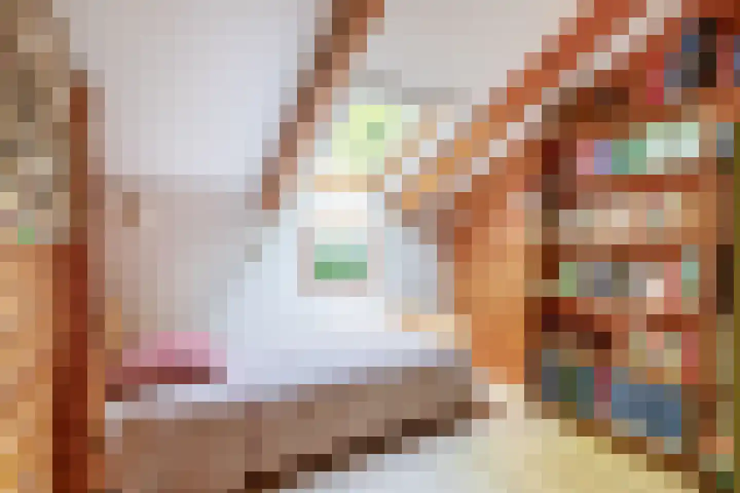 De Stille Wille 31 Oost West en Middelbeers thumbnail 24