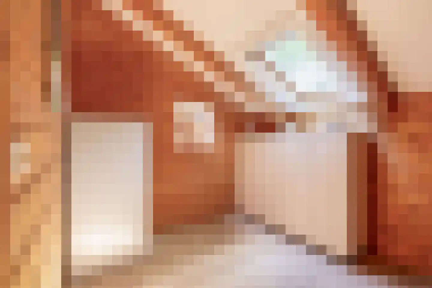 De Stille Wille 31 Oost West en Middelbeers thumbnail 25