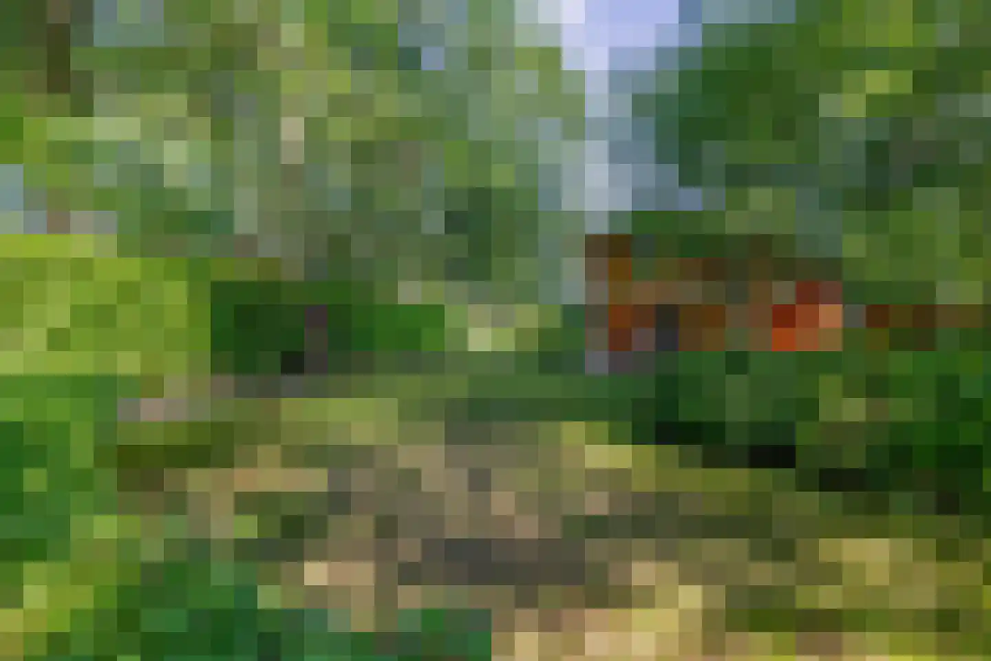 De Stille Wille 31 Oost West en Middelbeers thumbnail 34