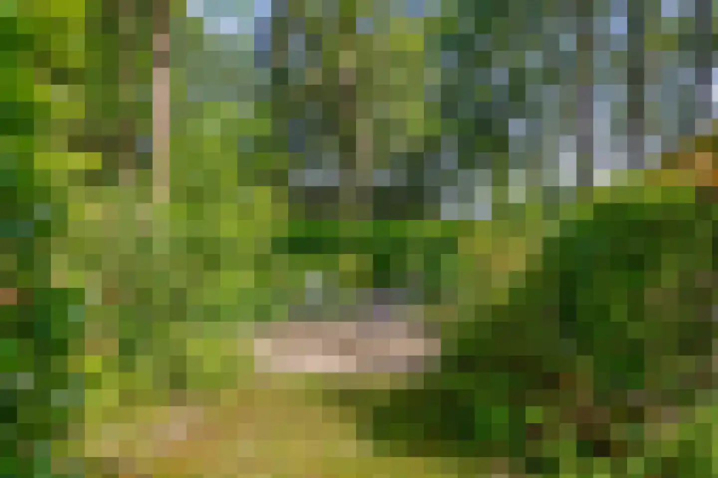 De Stille Wille 31 Oost West en Middelbeers thumbnail 36