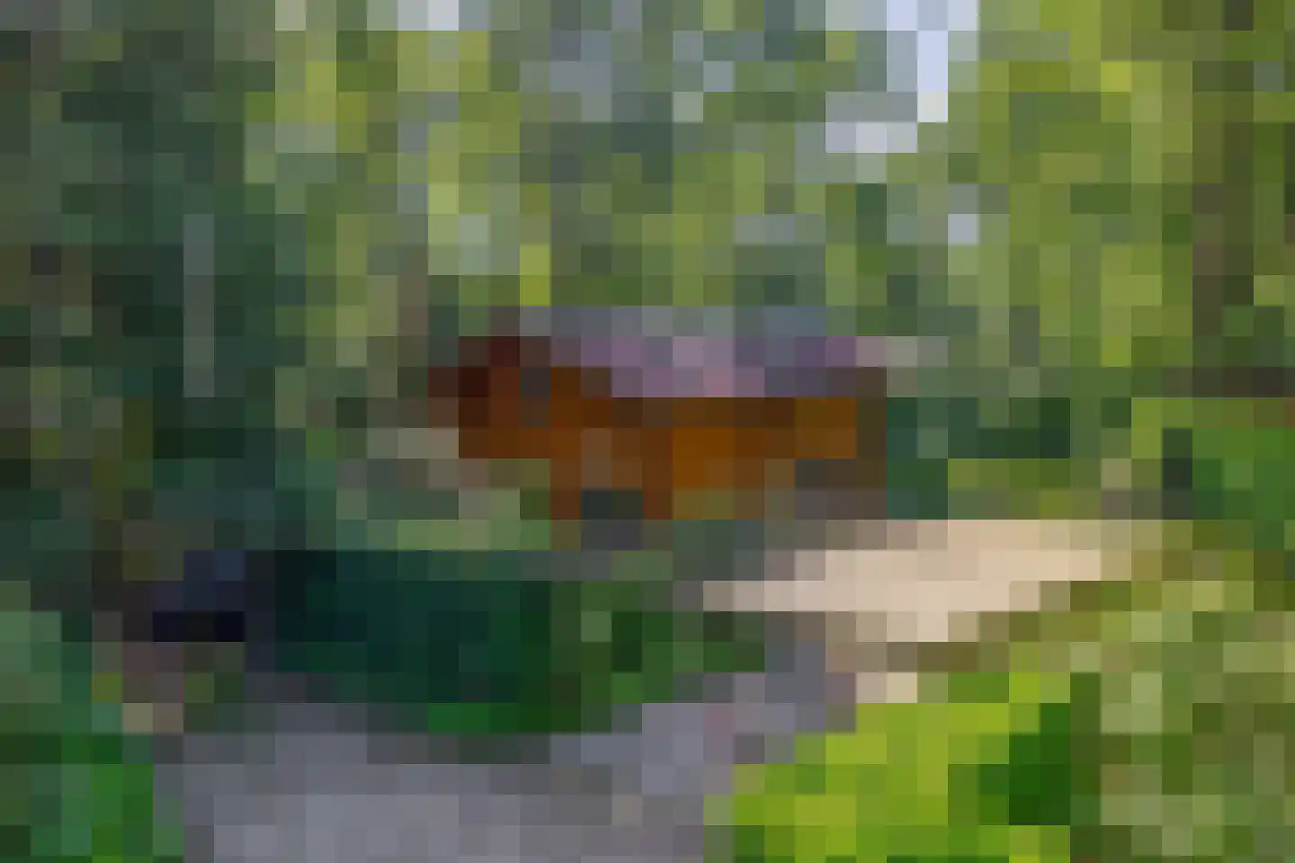 De Stille Wille 31 Oost West en Middelbeers thumbnail 39