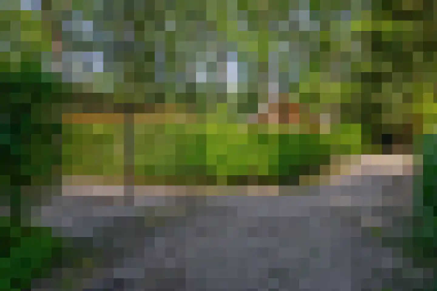 De Stille Wille 31 Oost West en Middelbeers thumbnail 41