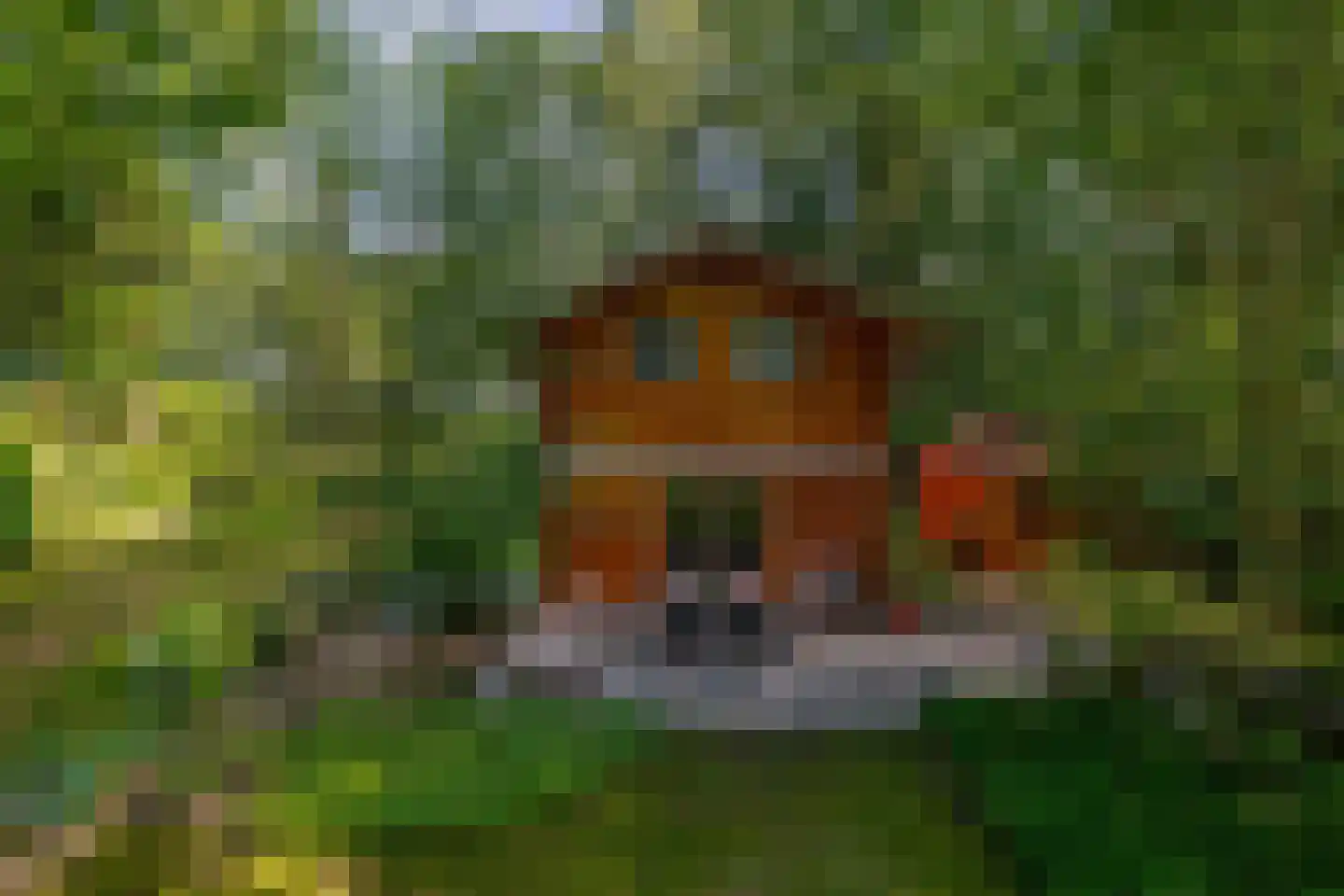 De Stille Wille 31 Oost West en Middelbeers thumbnail 43