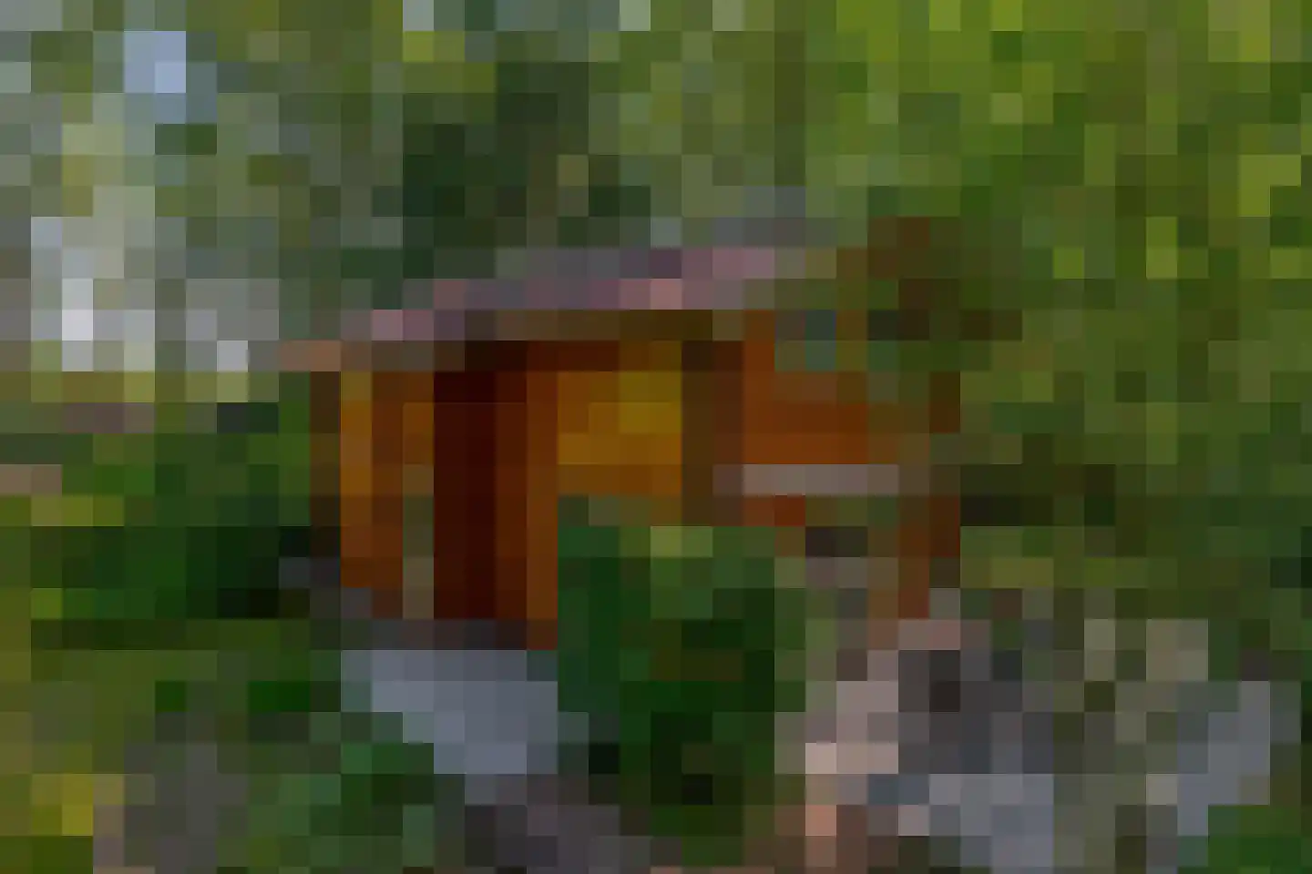 De Stille Wille 31 Oost West en Middelbeers thumbnail 5