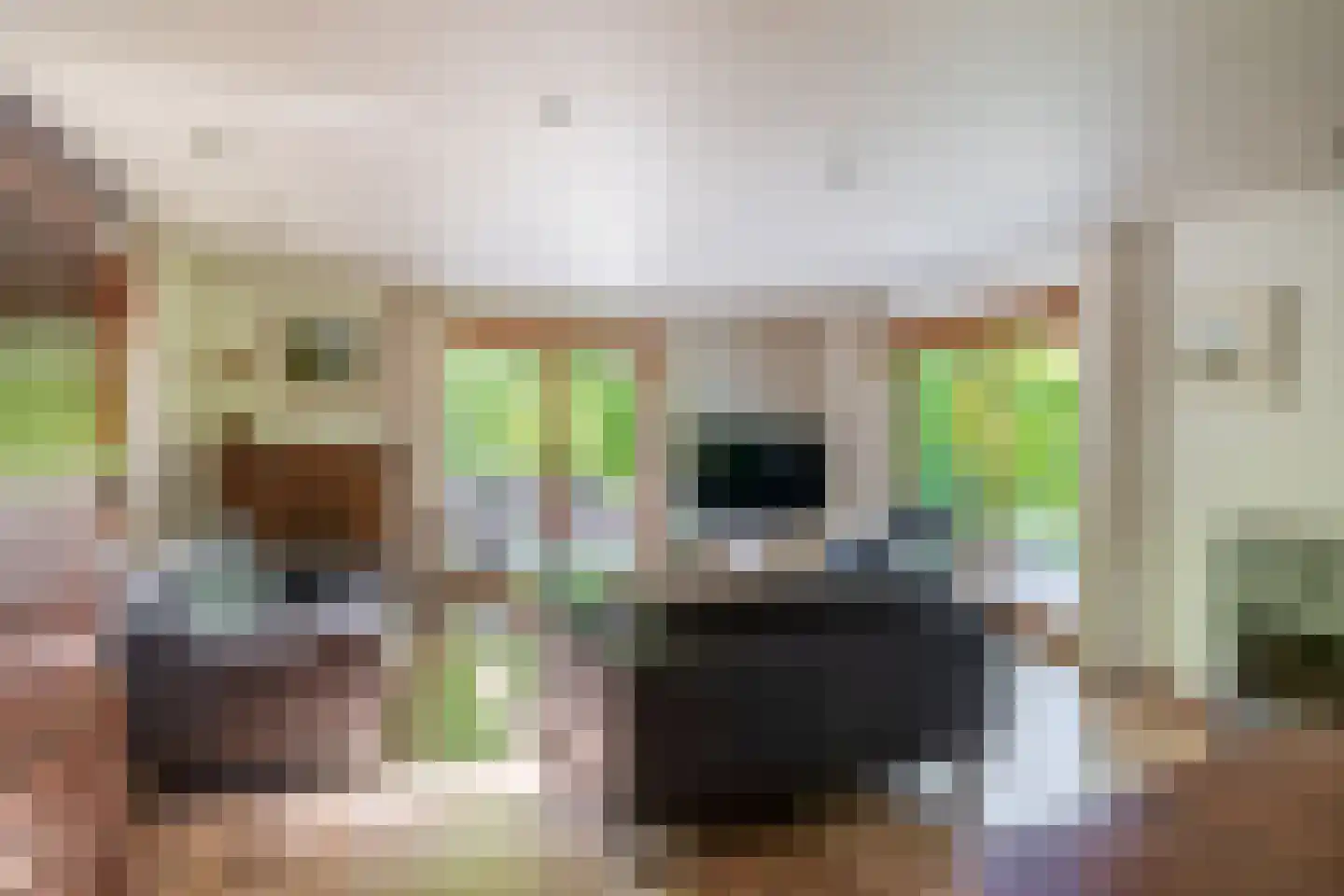 De Stille Wille 31 Oost West en Middelbeers thumbnail 9