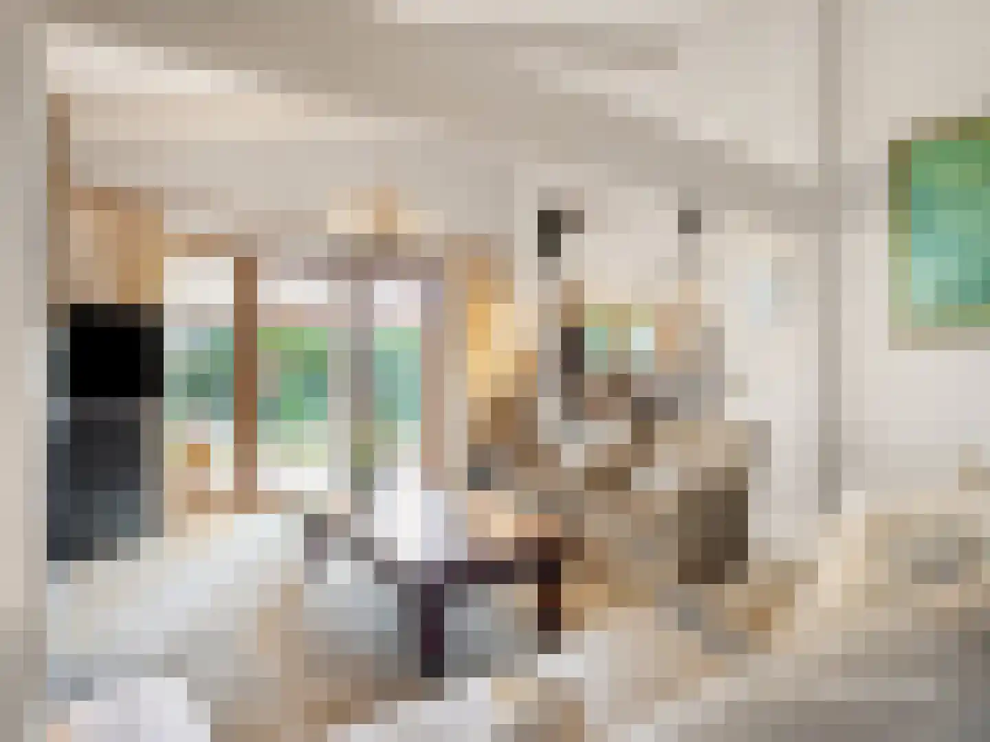 De Stille Wille 311 Oost West en Middelbeers thumbnail 10