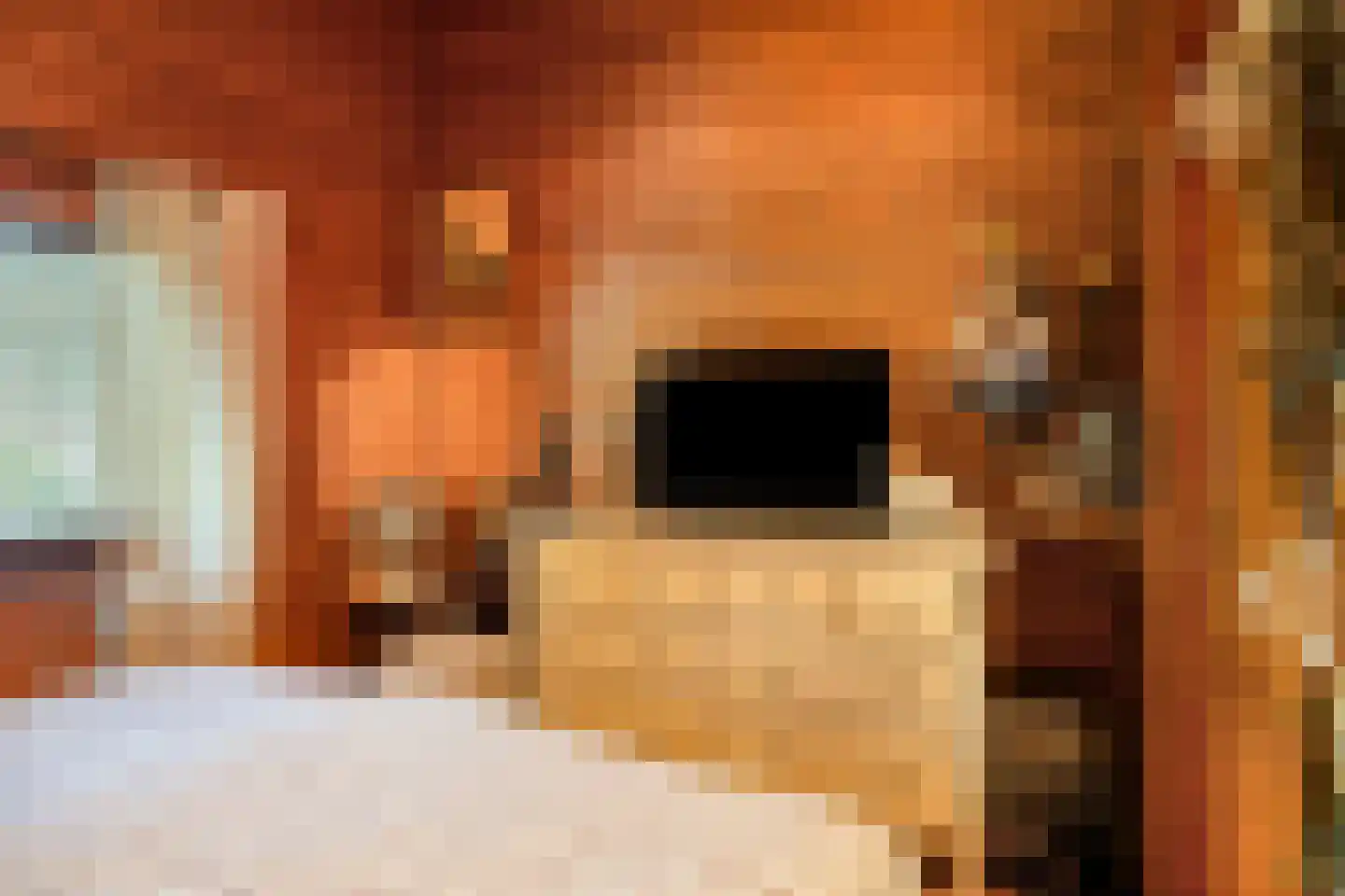 De Stille Wille 311 Oost West en Middelbeers thumbnail 13