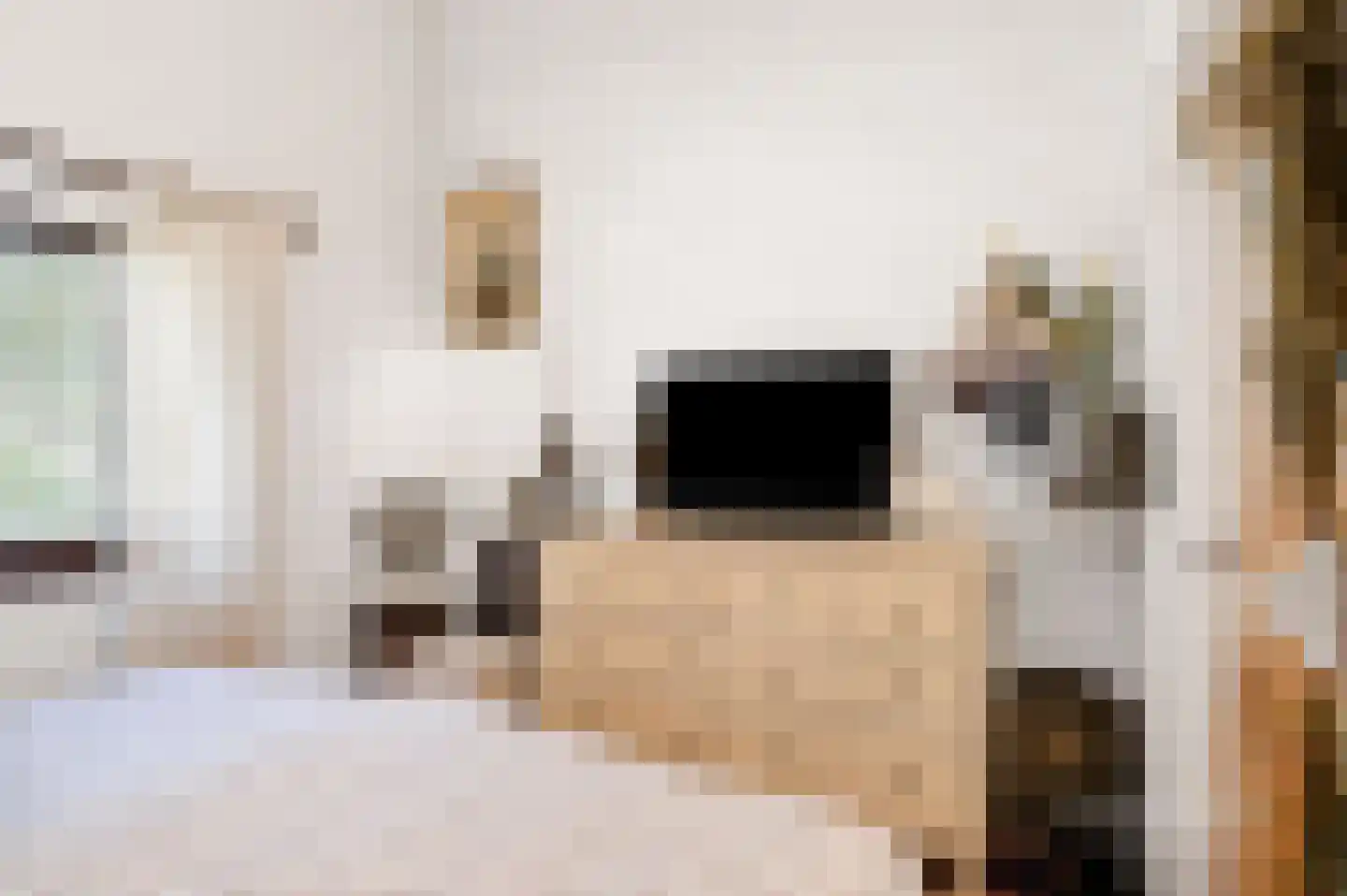De Stille Wille 311 Oost West en Middelbeers thumbnail 14
