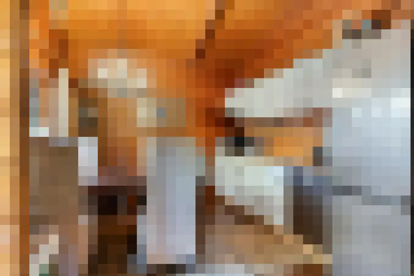 De Stille Wille 311 Oost West en Middelbeers thumbnail 15