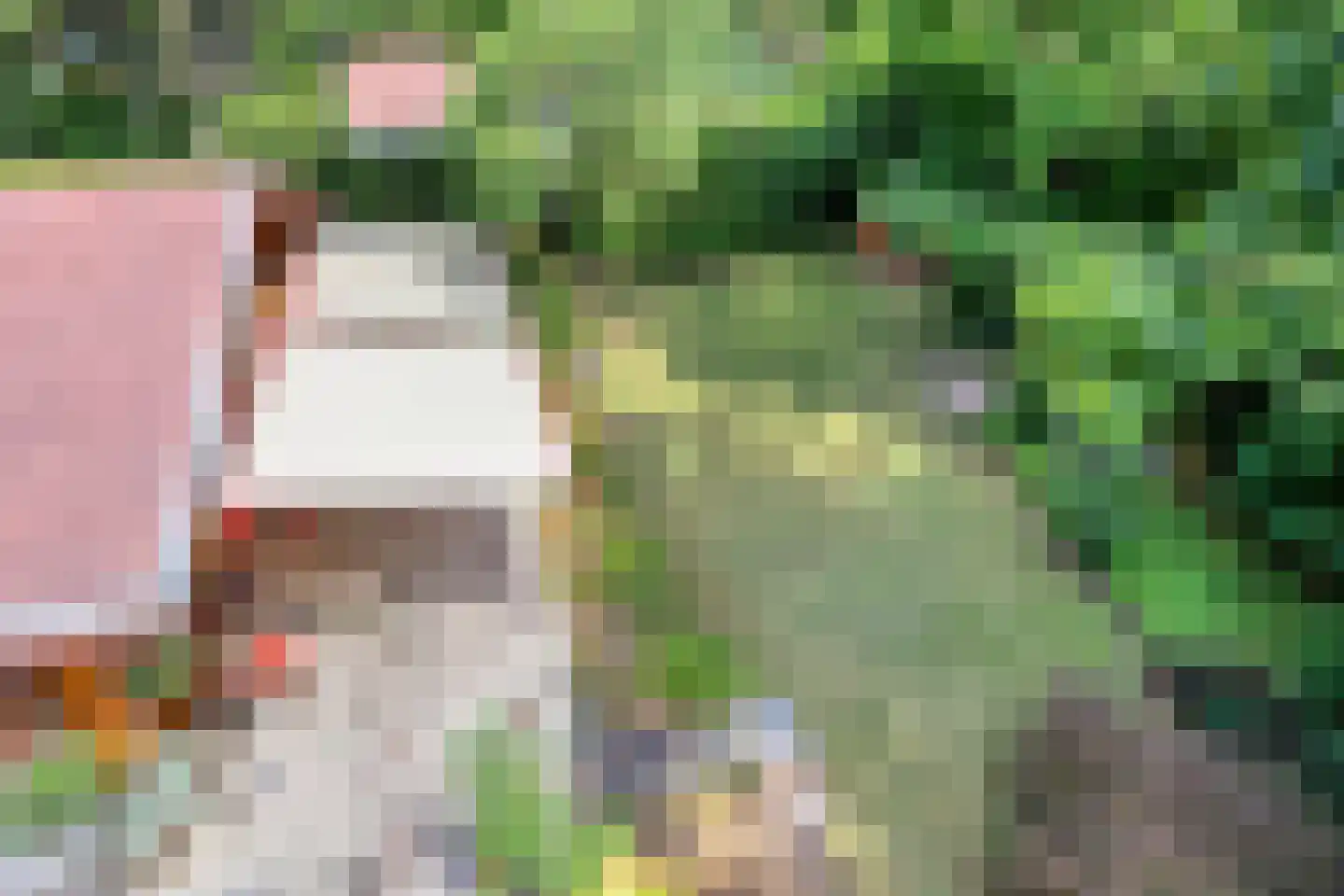 De Stille Wille 311 Oost West en Middelbeers thumbnail 18
