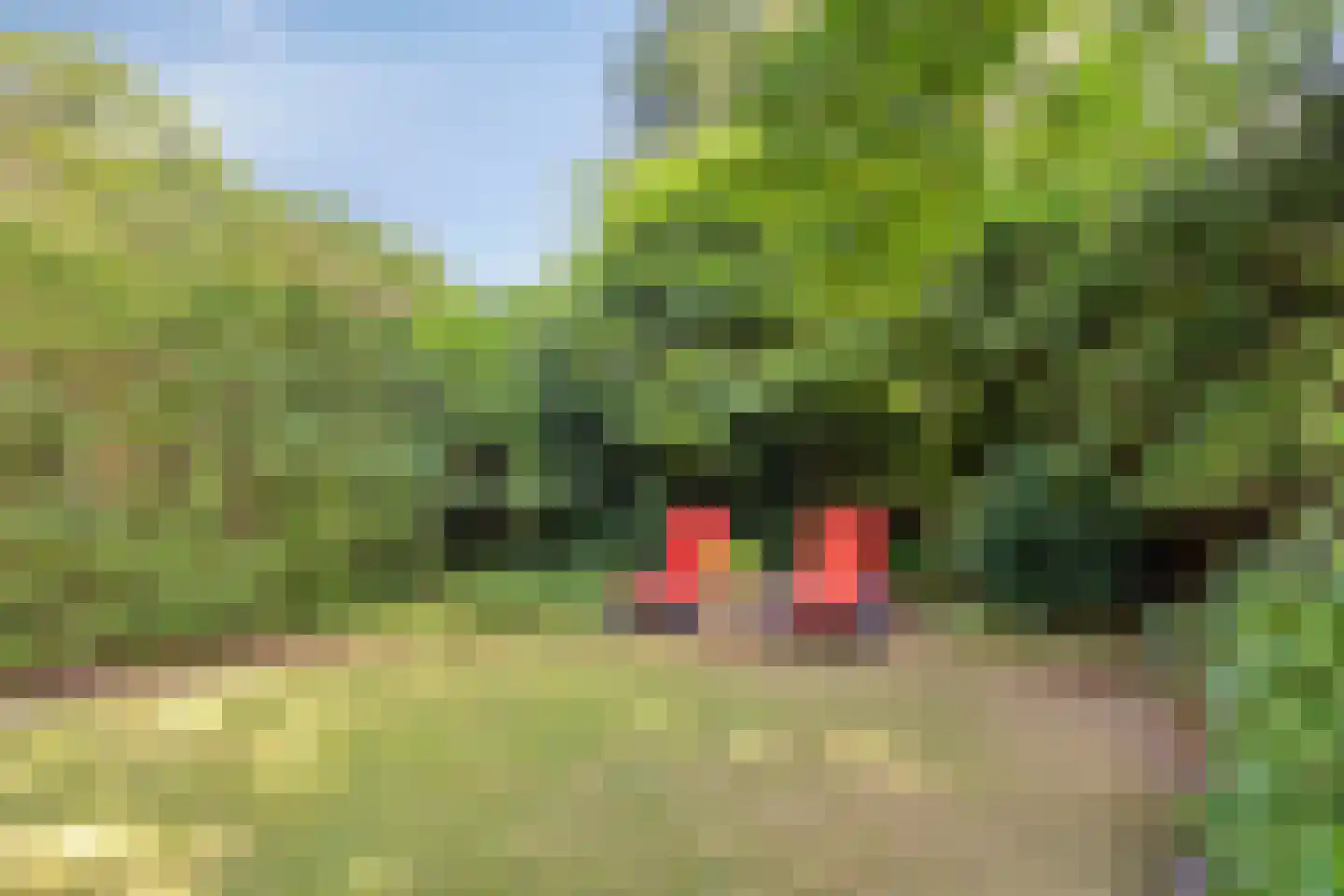 De Stille Wille 311 Oost West en Middelbeers thumbnail 19