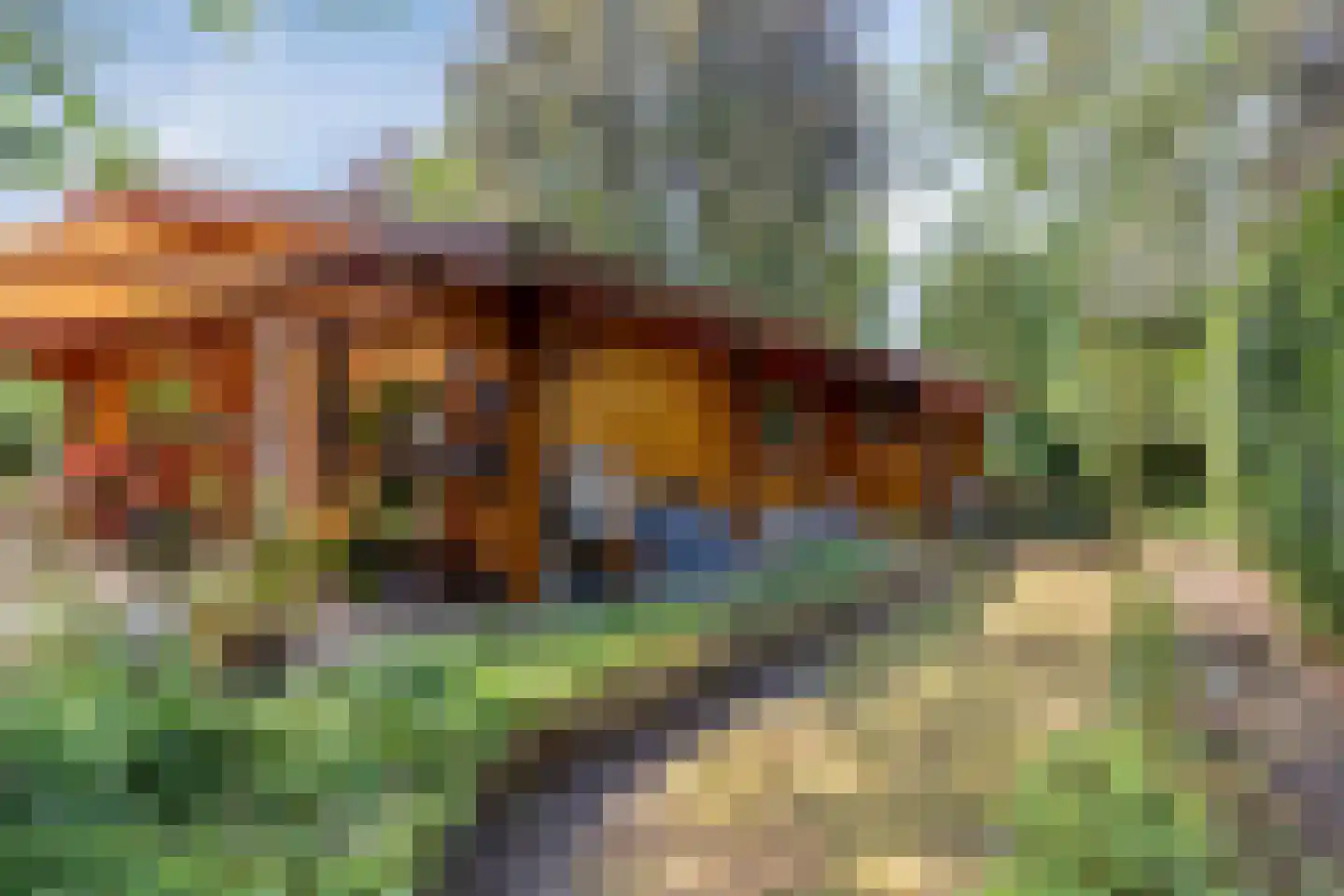 De Stille Wille 311 Oost West en Middelbeers thumbnail 22