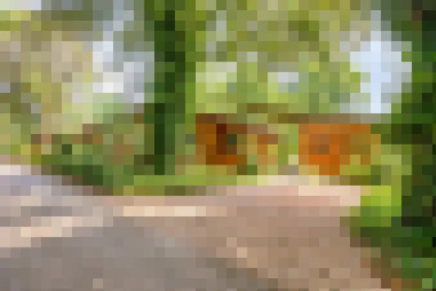 De Stille Wille 311 Oost West en Middelbeers thumbnail 5