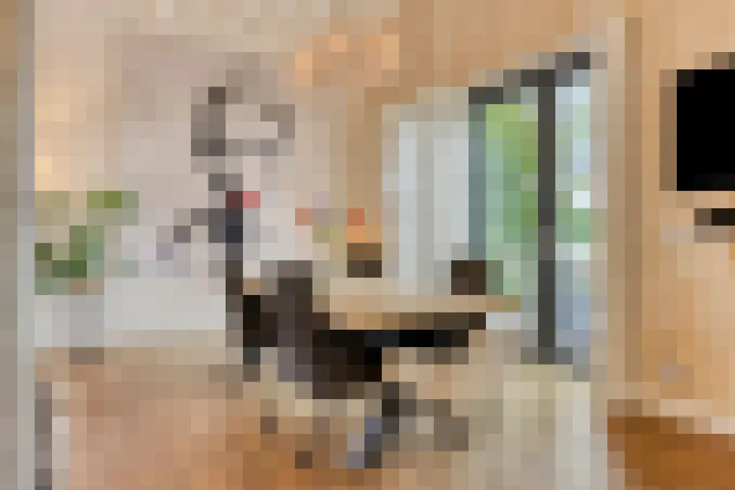 De Stille Wille 316 Oost West en Middelbeers thumbnail 10