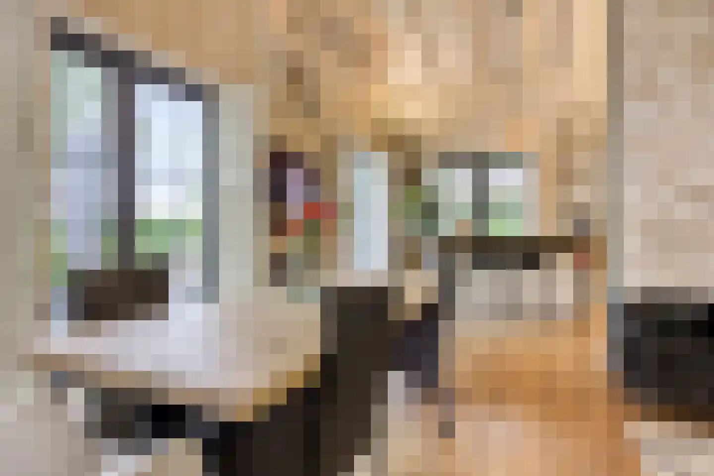 De Stille Wille 316 Oost West en Middelbeers thumbnail 11