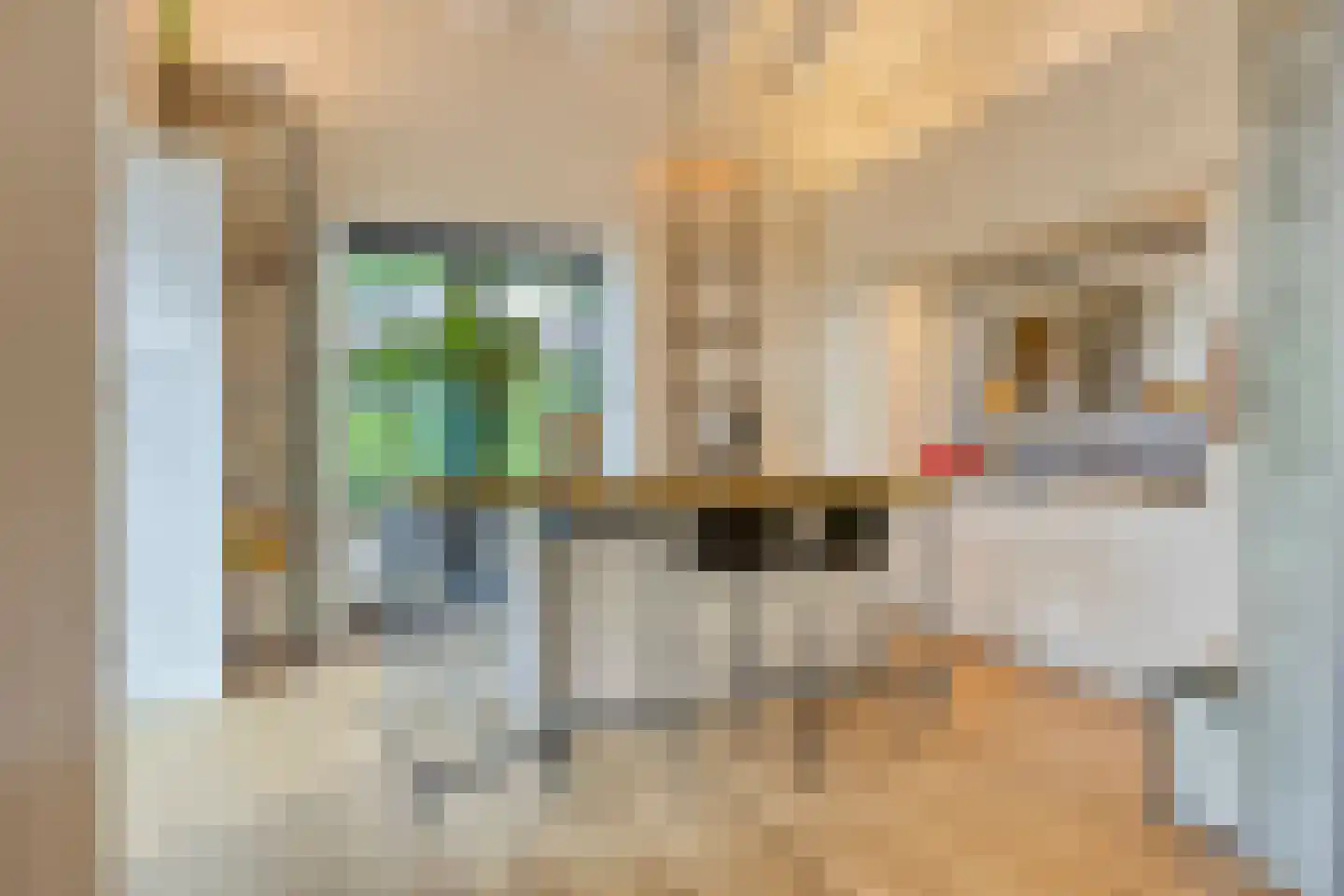 De Stille Wille 316 Oost West en Middelbeers thumbnail 12