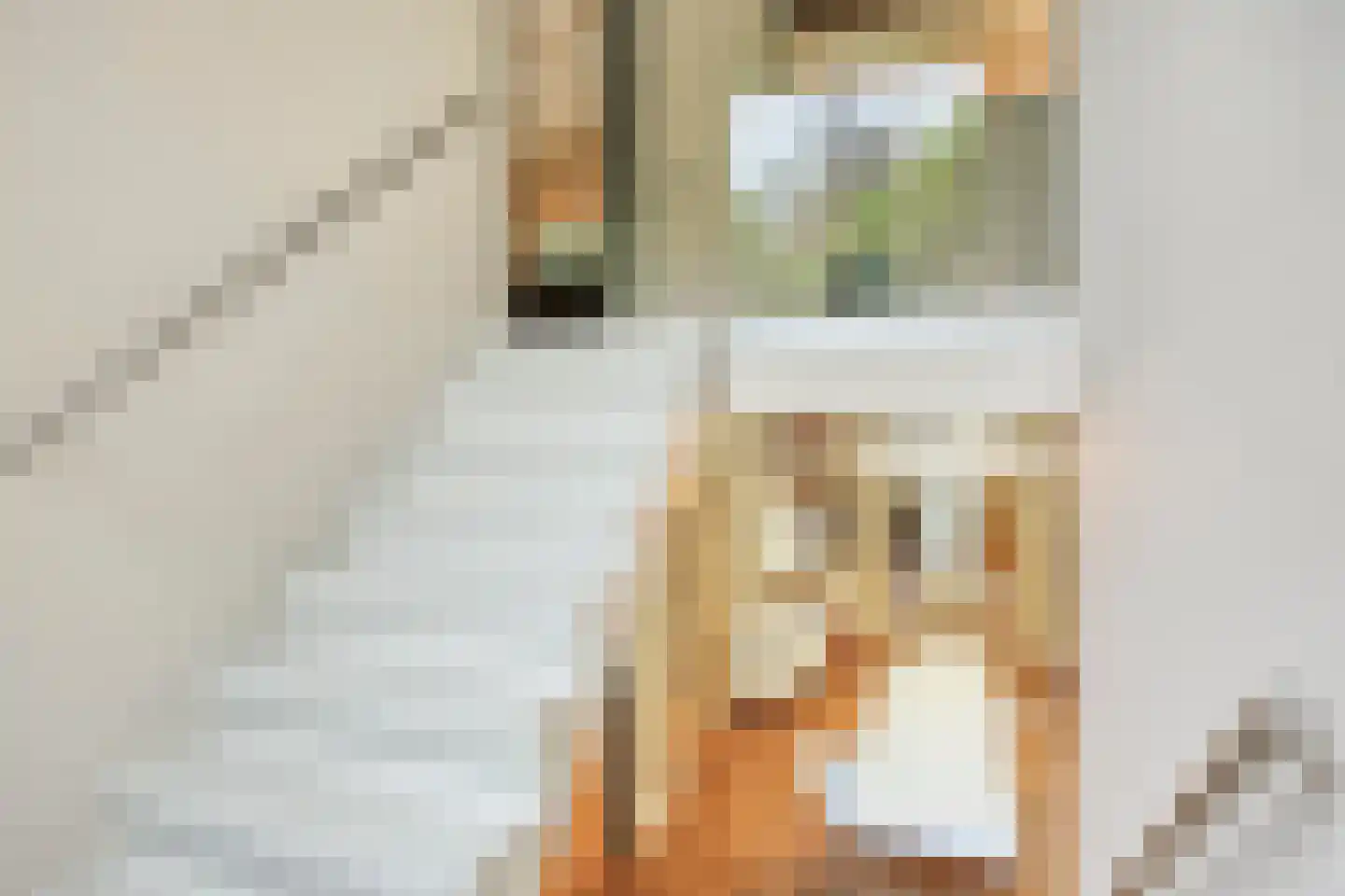 De Stille Wille 316 Oost West en Middelbeers thumbnail 16