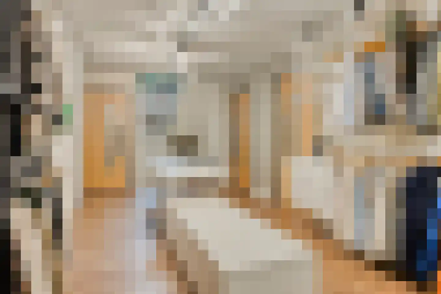 De Stille Wille 316 Oost West en Middelbeers thumbnail 17