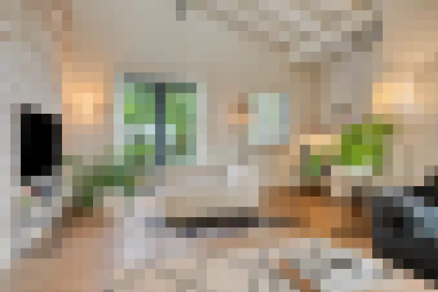De Stille Wille 316 Oost West en Middelbeers thumbnail 19