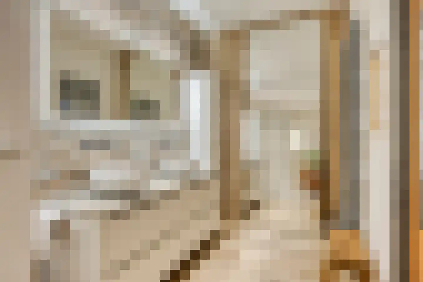 De Stille Wille 316 Oost West en Middelbeers thumbnail 21