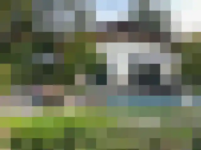 De Stille Wille 316 Oost West en Middelbeers thumbnail 24