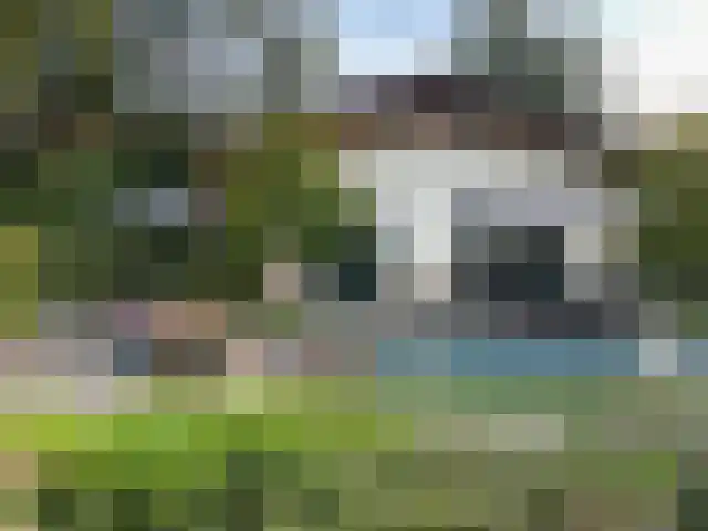 De Stille Wille 316 Oost West en Middelbeers thumbnail 24