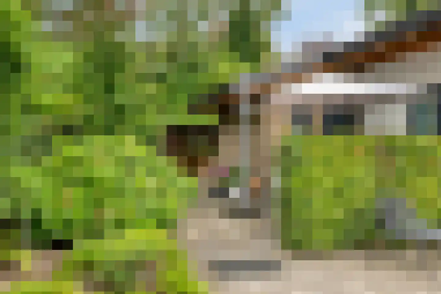 De Stille Wille 316 Oost West en Middelbeers thumbnail 26