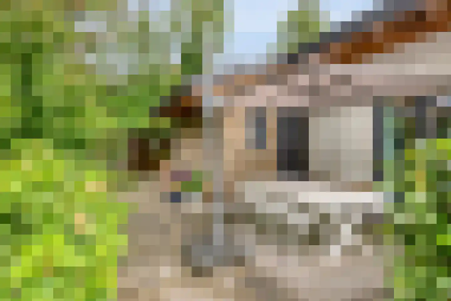 De Stille Wille 316 Oost West en Middelbeers thumbnail 27