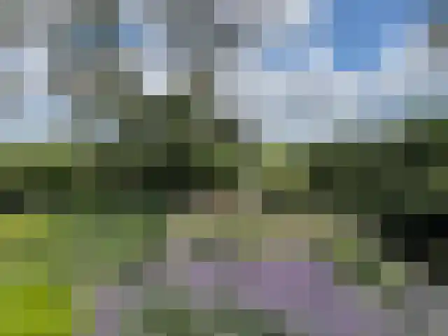De Stille Wille 316 Oost West en Middelbeers thumbnail 28