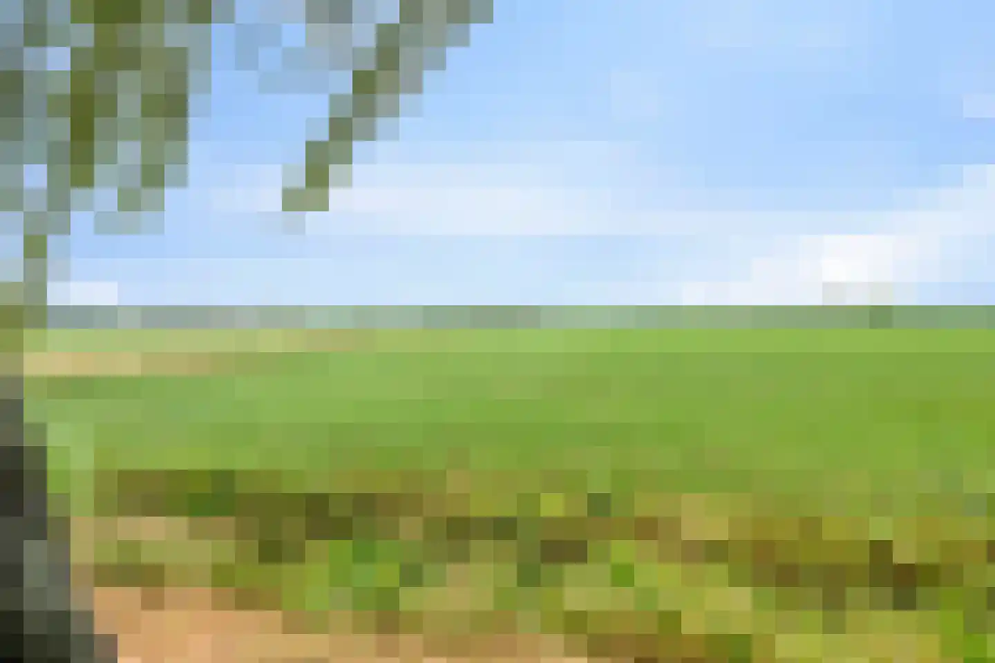 De Stille Wille 316 Oost West en Middelbeers thumbnail 29