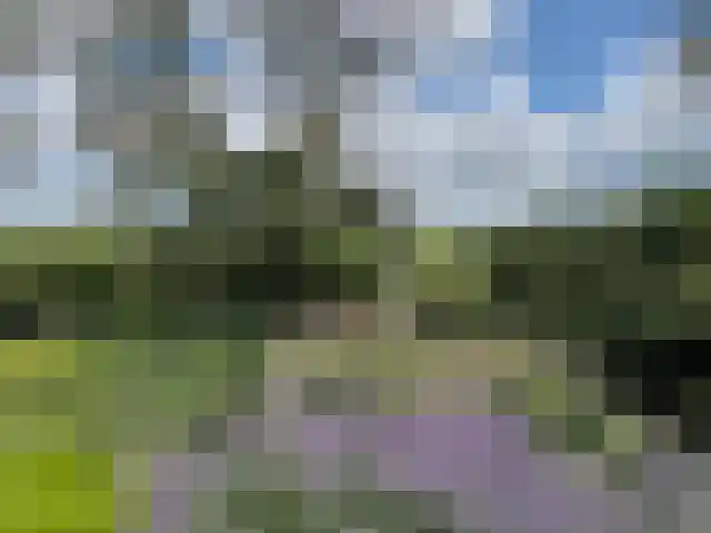 De Stille Wille 316 Oost West en Middelbeers thumbnail 29