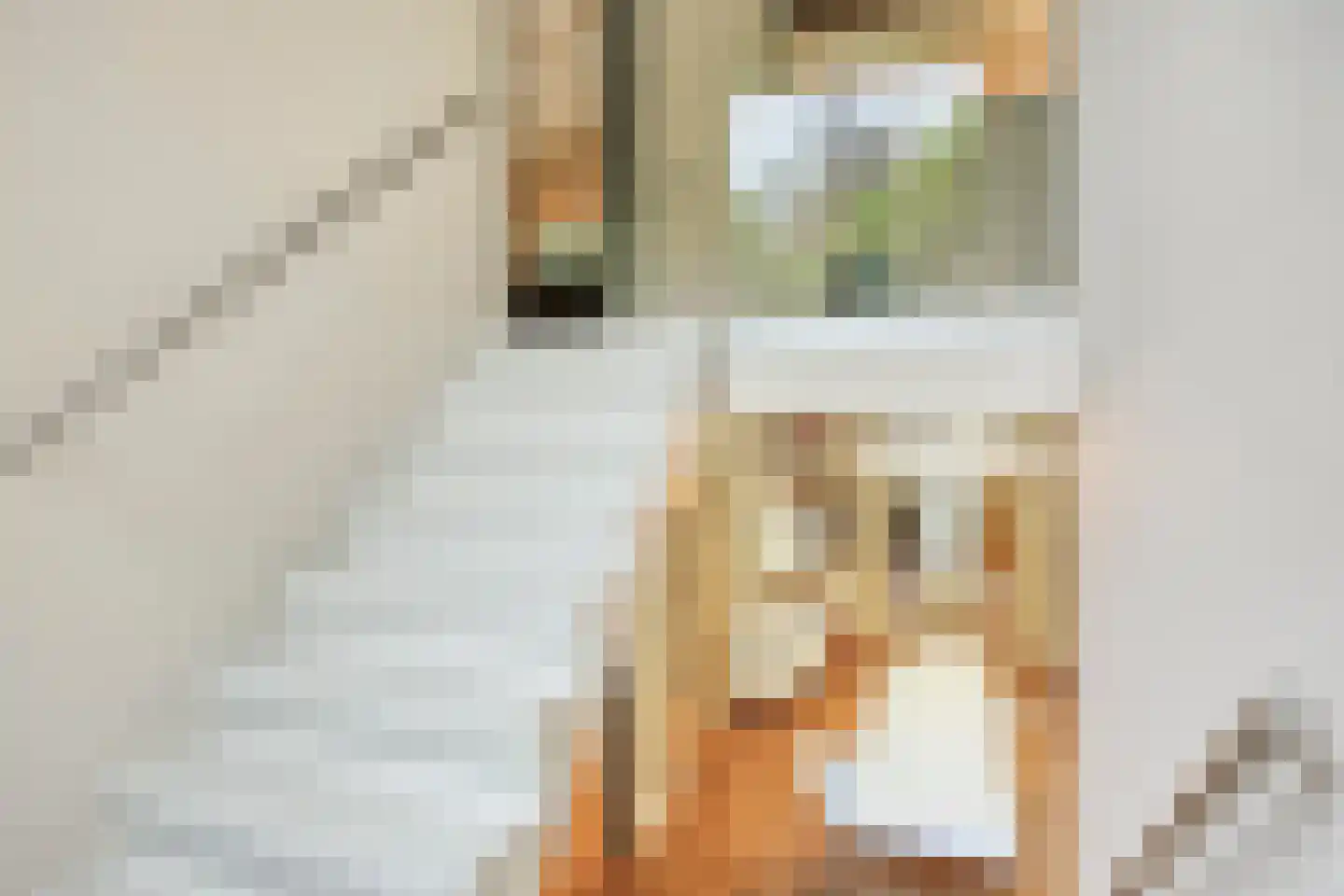 De Stille Wille 316 Oost West en Middelbeers thumbnail 29