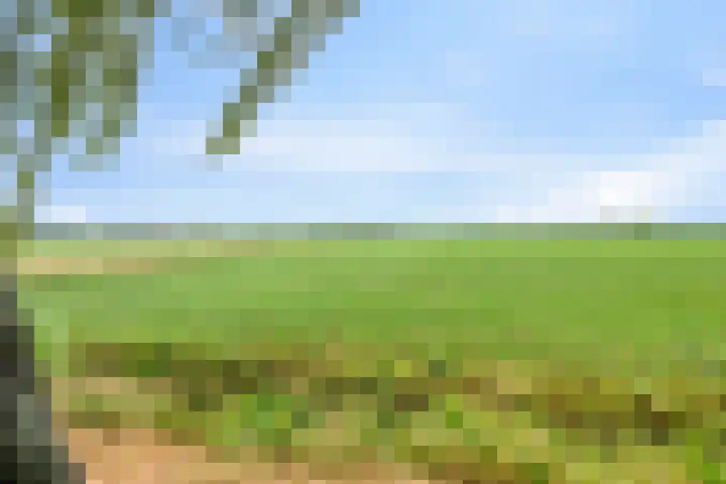 De Stille Wille 316 Oost West en Middelbeers thumbnail 30