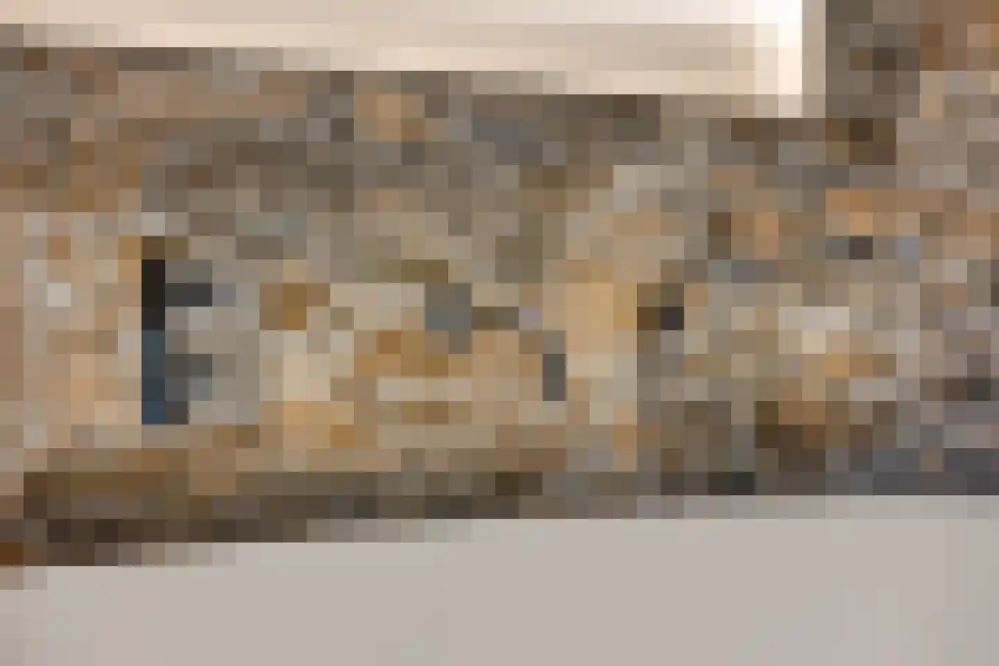 De Stille Wille 316 Oost West en Middelbeers thumbnail 35
