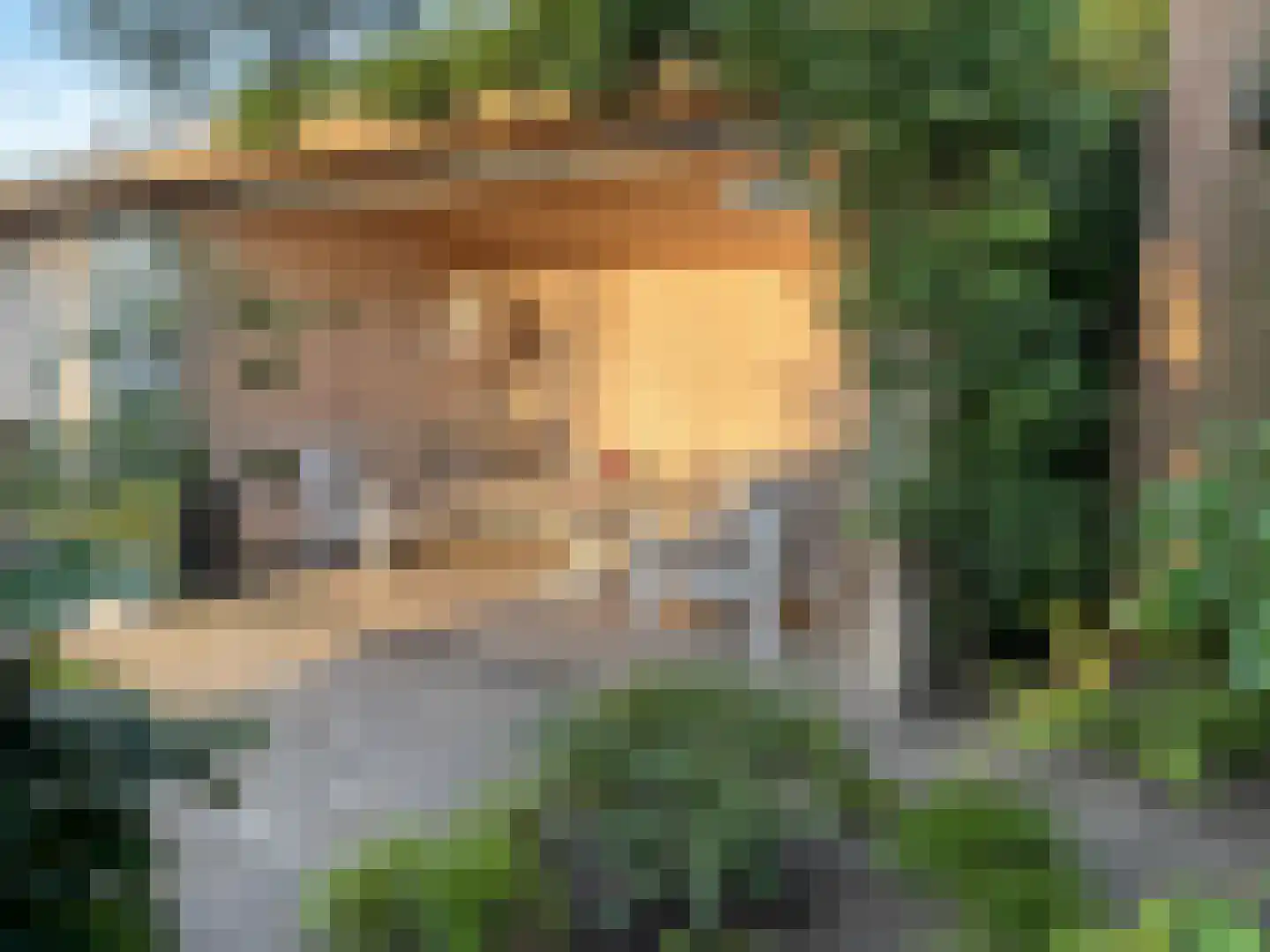 De Stille Wille 316 Oost West en Middelbeers thumbnail 4