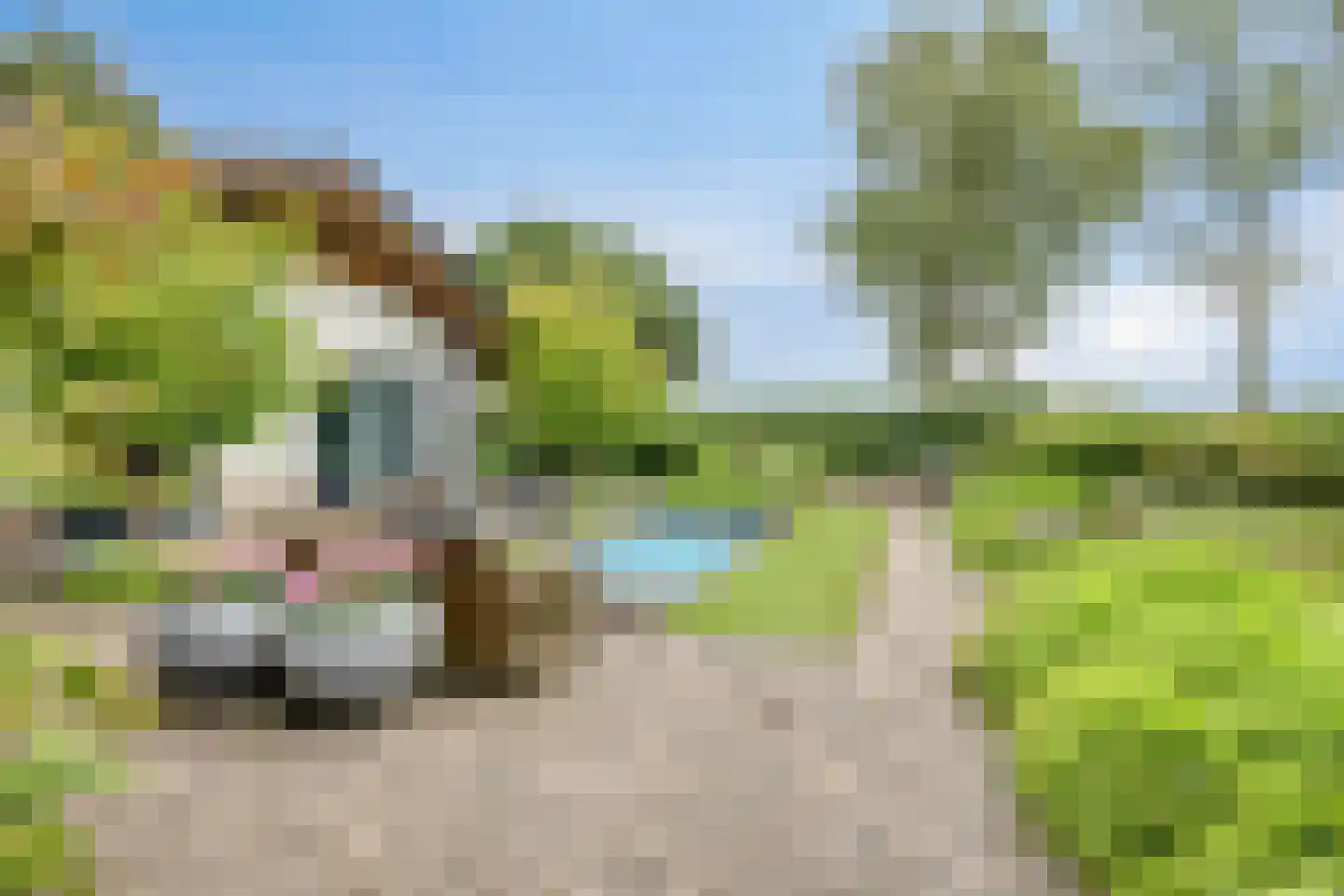 De Stille Wille 316 Oost West en Middelbeers thumbnail 43