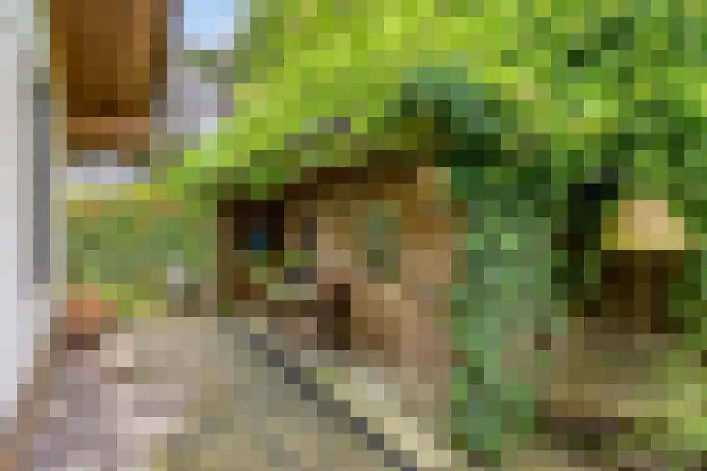 De Stille Wille 316 Oost West en Middelbeers thumbnail 46