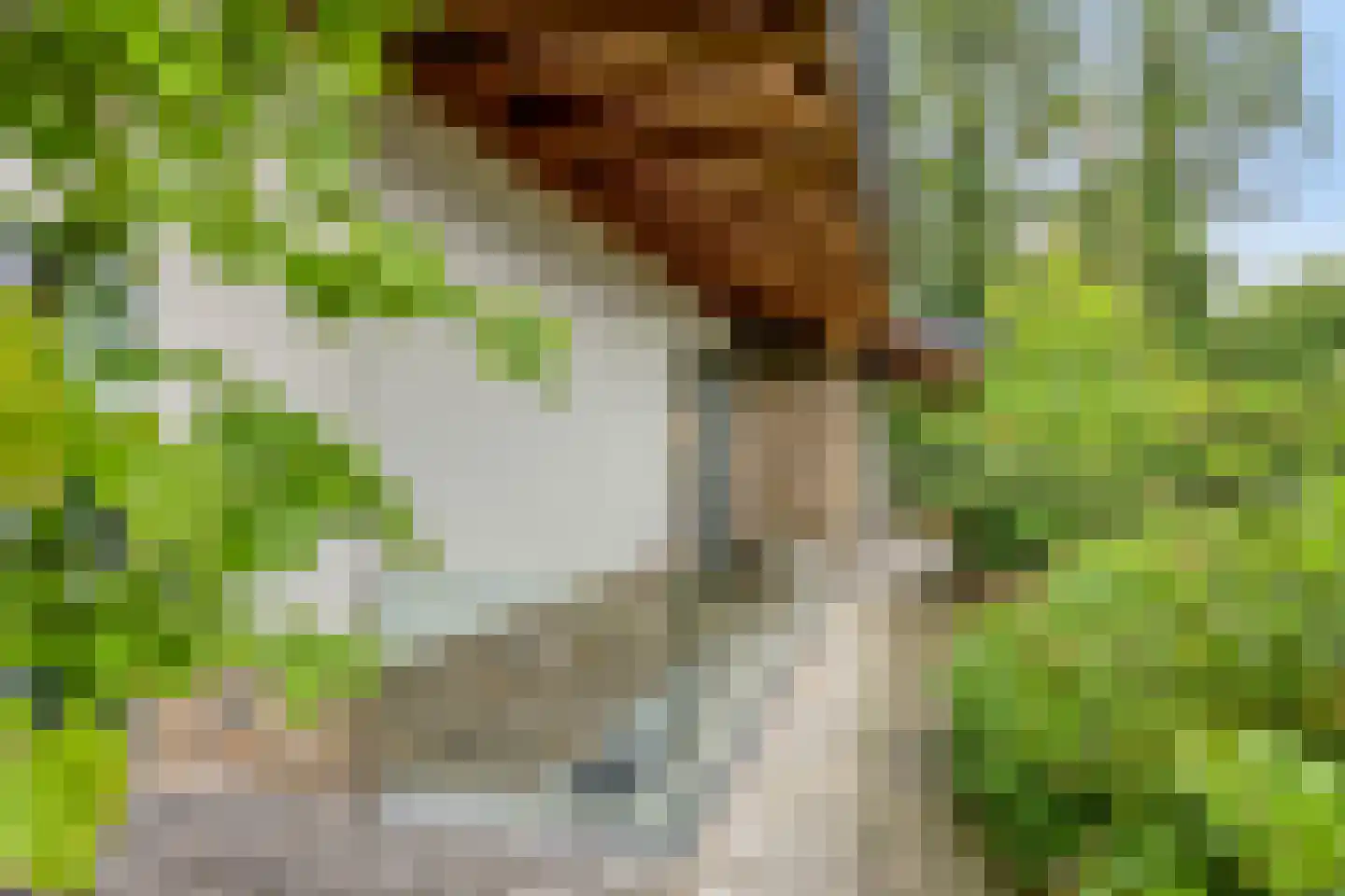 De Stille Wille 316 Oost West en Middelbeers thumbnail 48